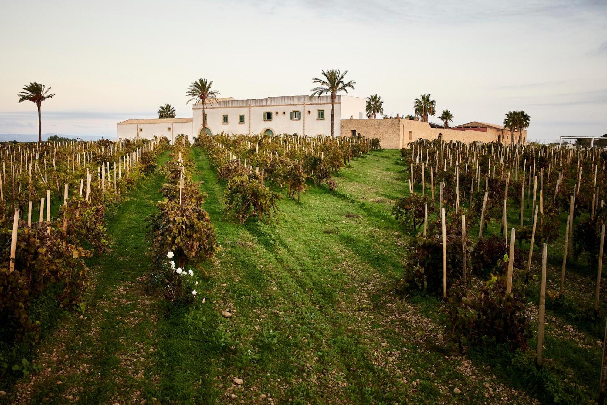 Agriturismo Baglio Donnafranca Wine Resort Marsala Bagian luar foto