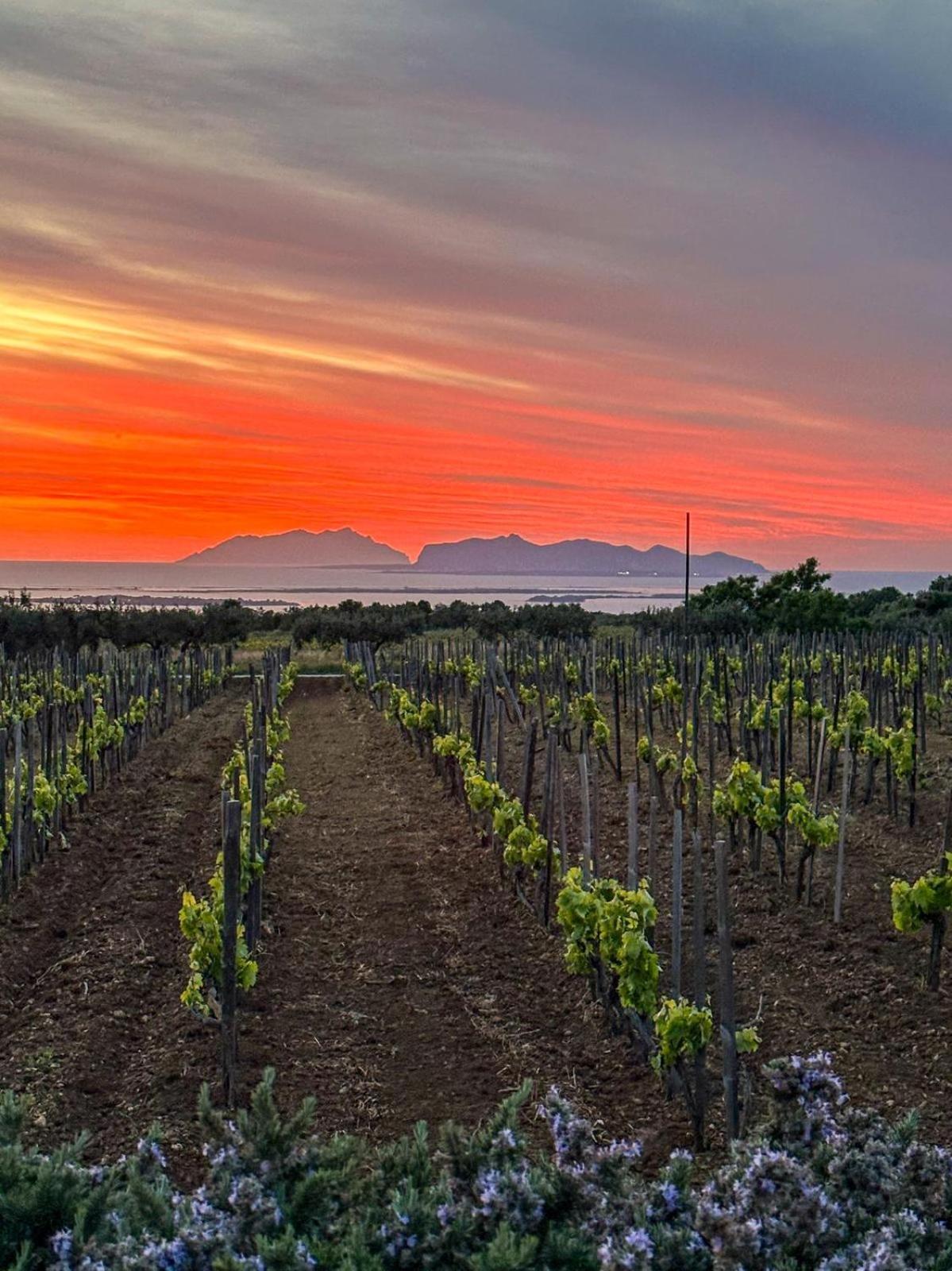 Agriturismo Baglio Donnafranca Wine Resort Marsala Bagian luar foto