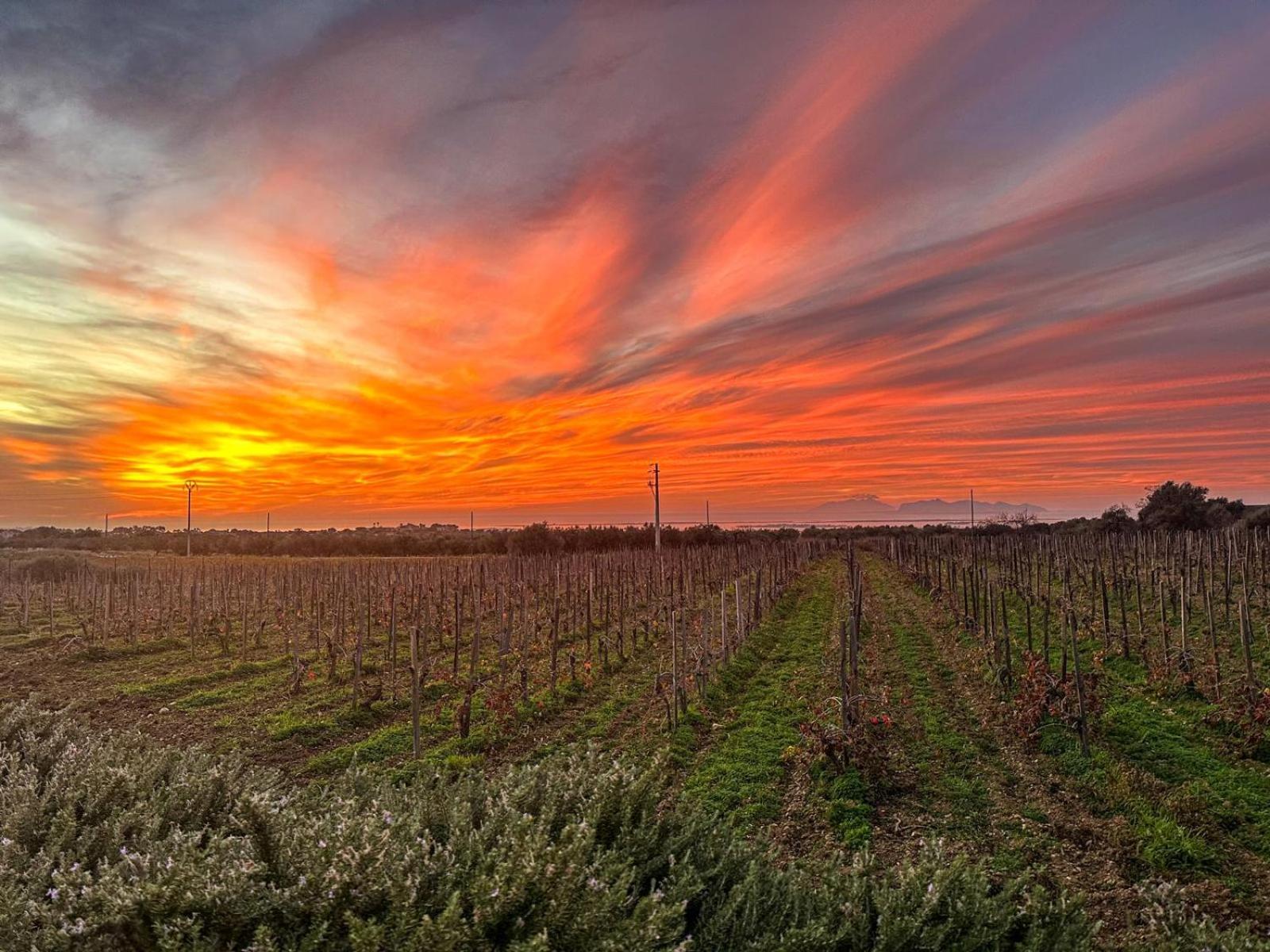 Agriturismo Baglio Donnafranca Wine Resort Marsala Bagian luar foto