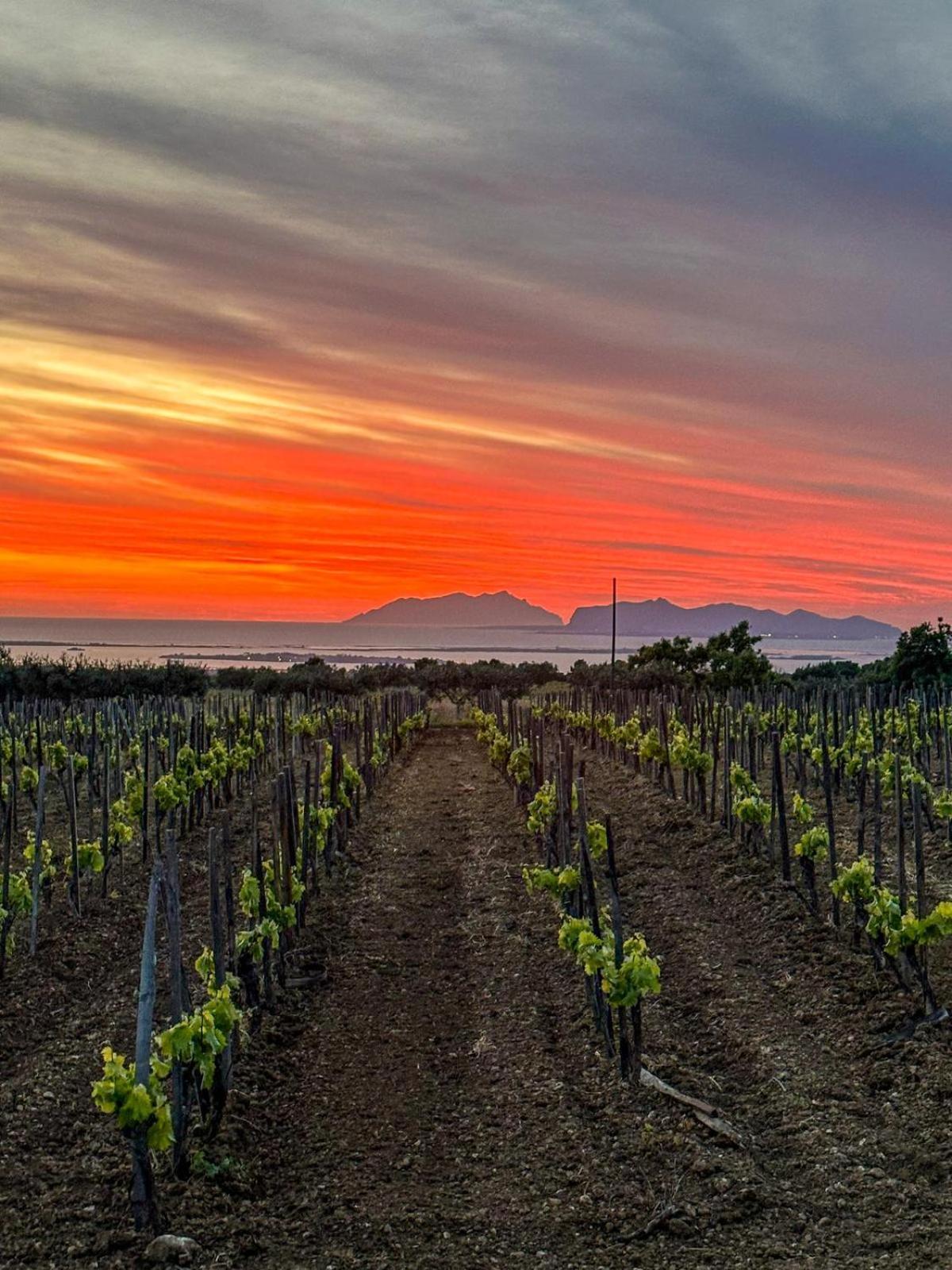 Agriturismo Baglio Donnafranca Wine Resort Marsala Bagian luar foto